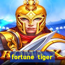 fortune tiger source code